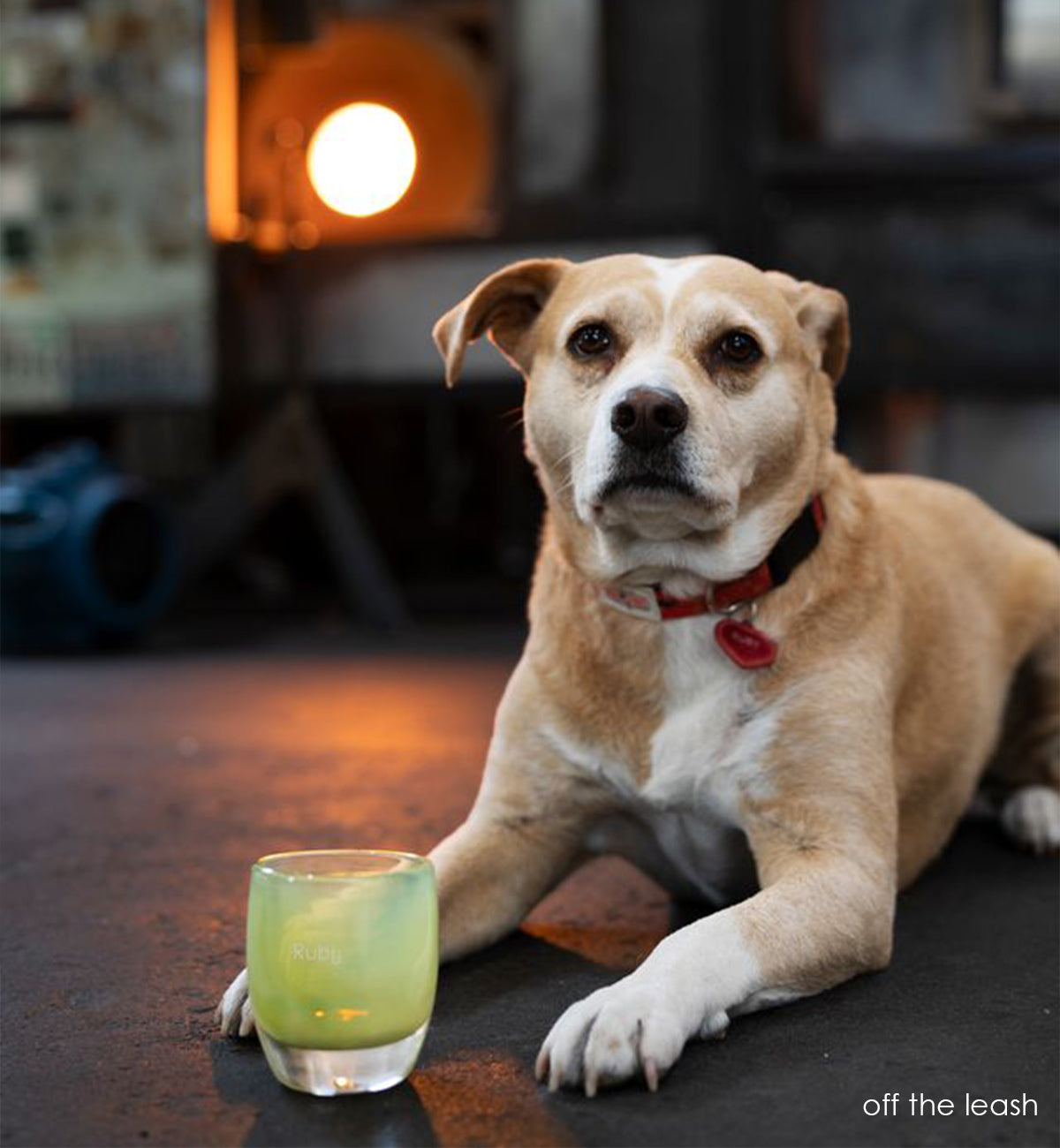 off the leash is a moss green hand-blown glass votive candle holder. transparent towards the top with 'Ruby' etched on. in the background is Ruby the dog in a hotshop.